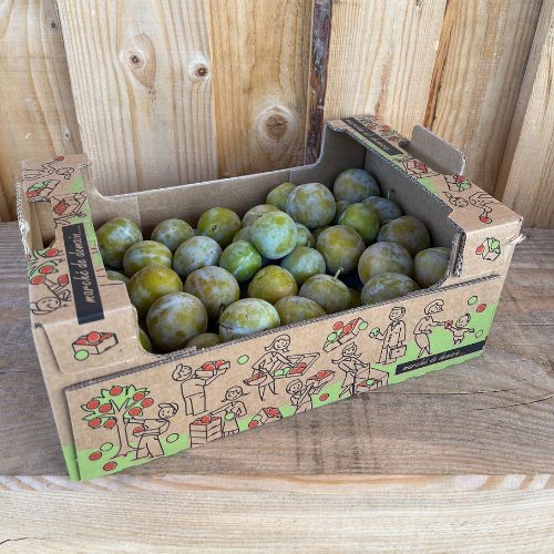 Prunes reine claude
