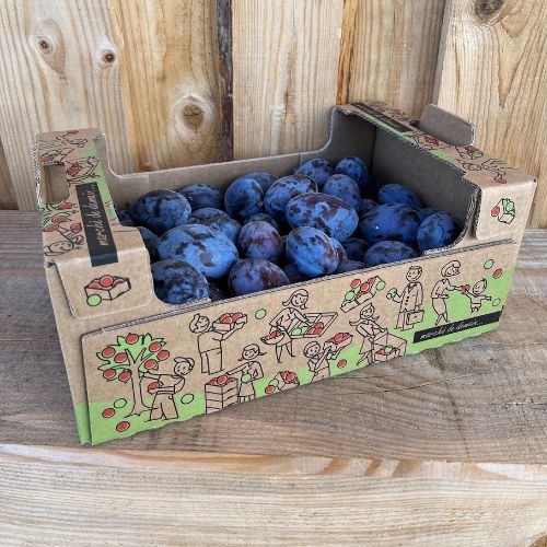 Prunes violettes