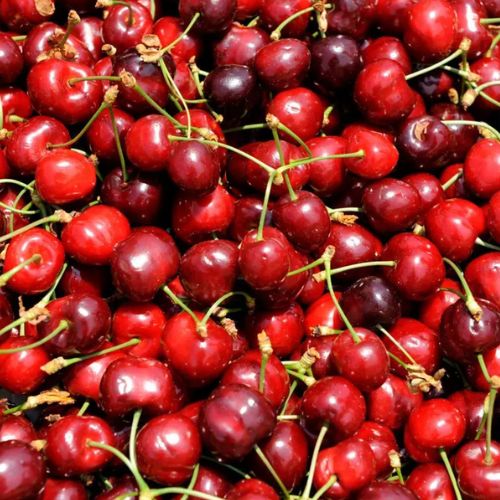 Cerises confitures